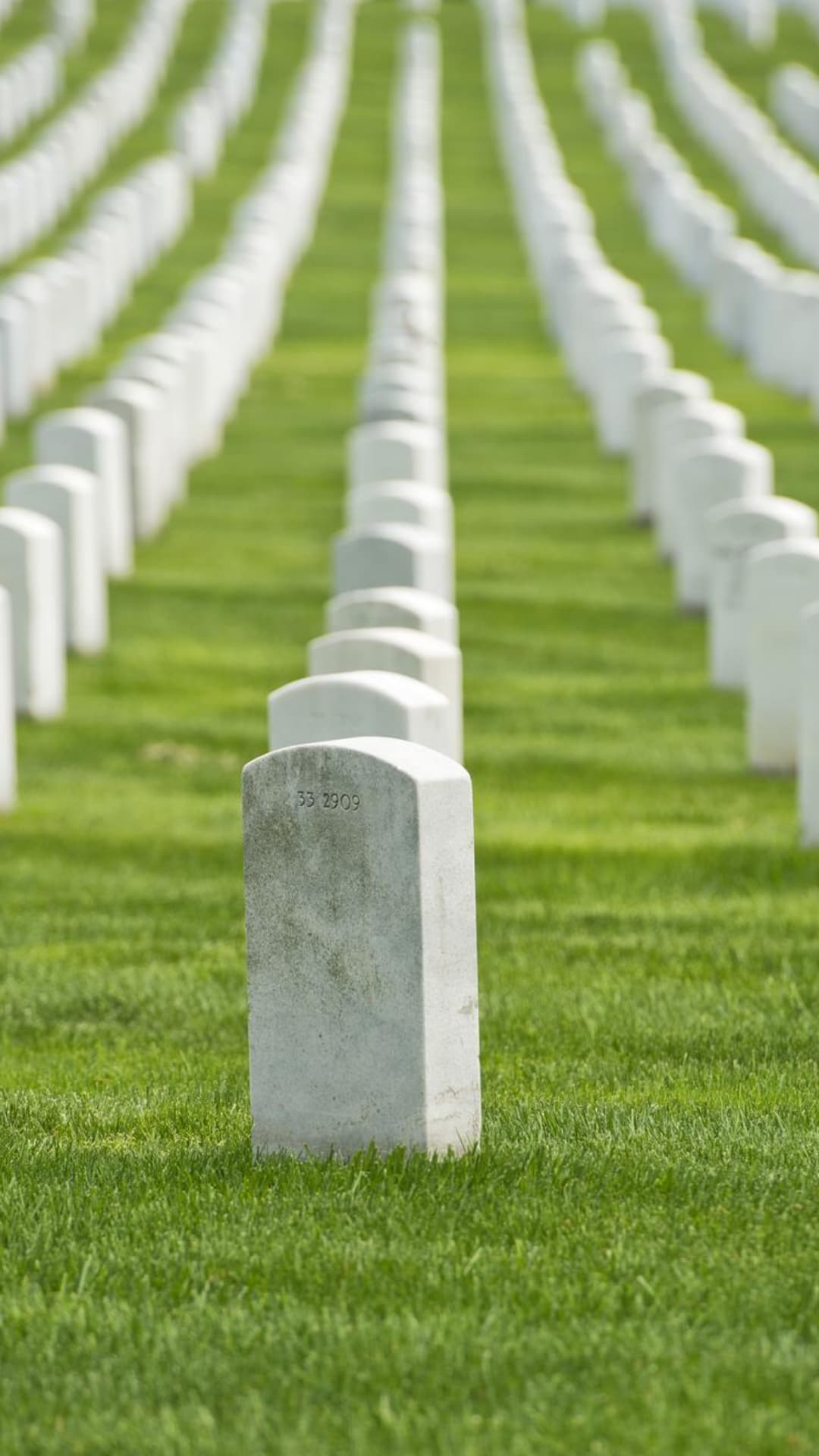 Arlington Cemetery Tombstones no Flags Portrait